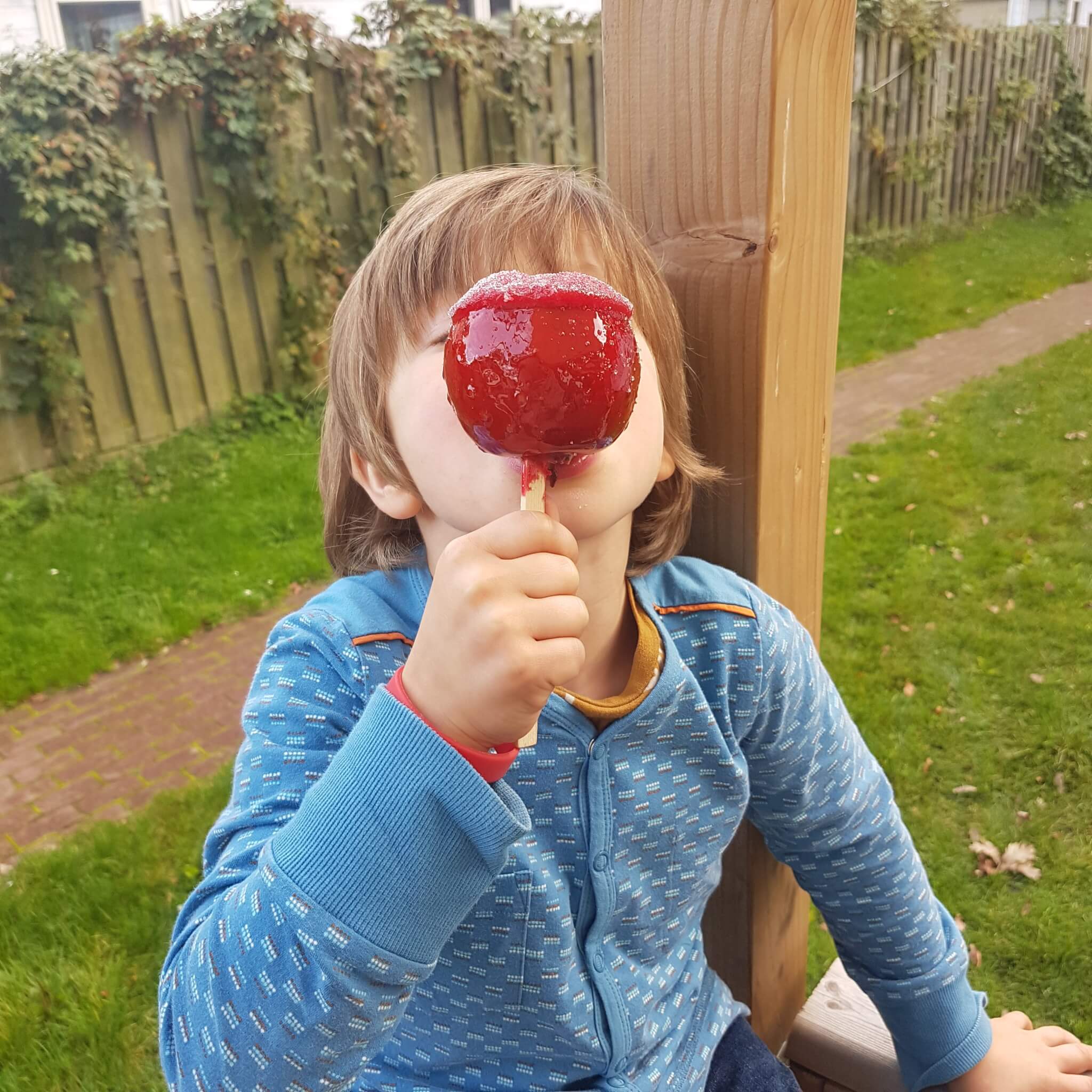 Weekendje Duinrell met kleine kinderen: de leukste dingen om te doen met peuters, kleuters en jonge schoolkinderen