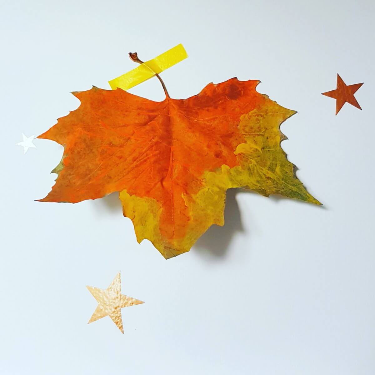 Herfst knutsels: samen met de kinderen knutselen als het buiten kouder wordt Herfst knutsels: samen met de kinderen knutselen als het buiten kouder wordt
