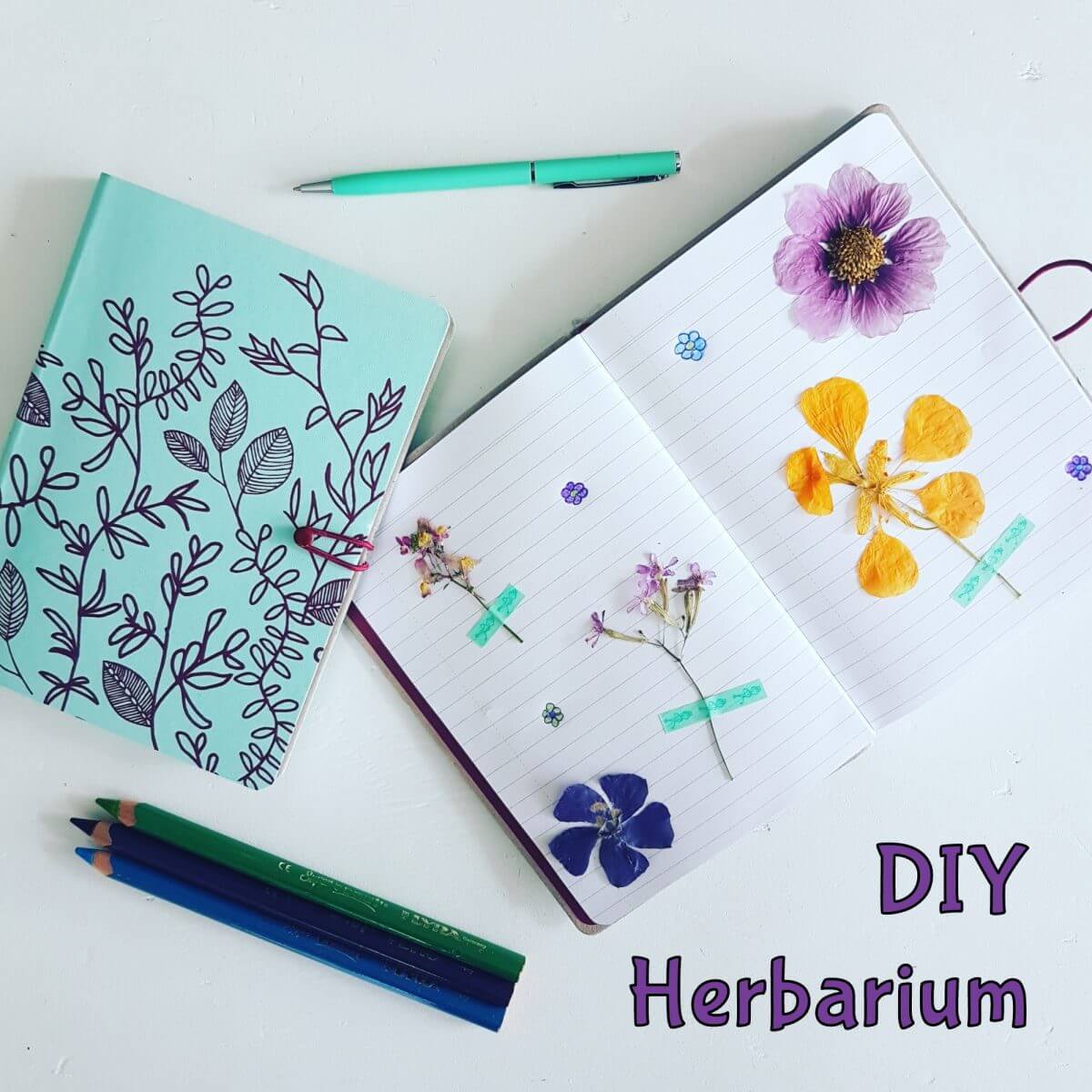DIY: een herbarium van droogbloemen maken met de kinderen
