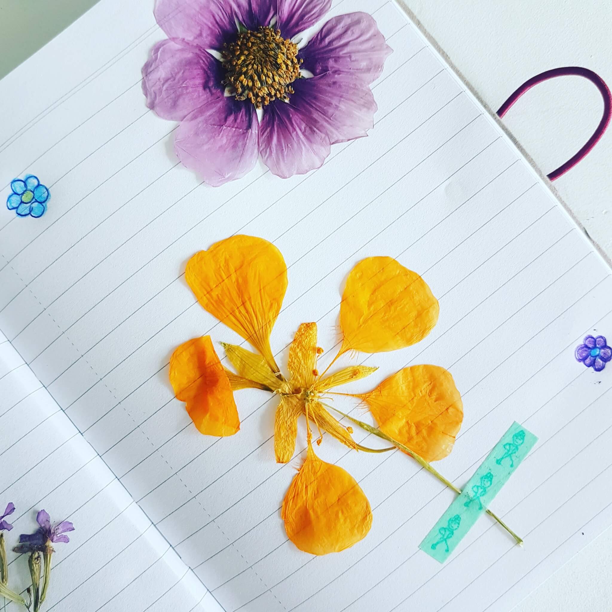 DIY: een herbarium maken met de kinderen DIY: een herbarium maken met de kinderen