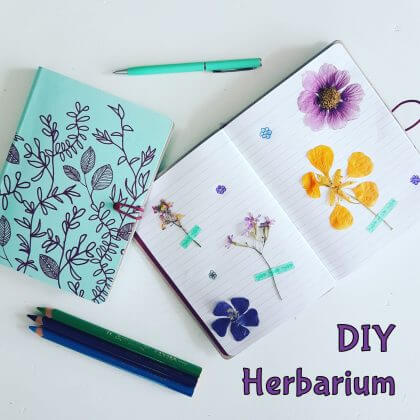 DIY: een herbarium maken met de kinderen 