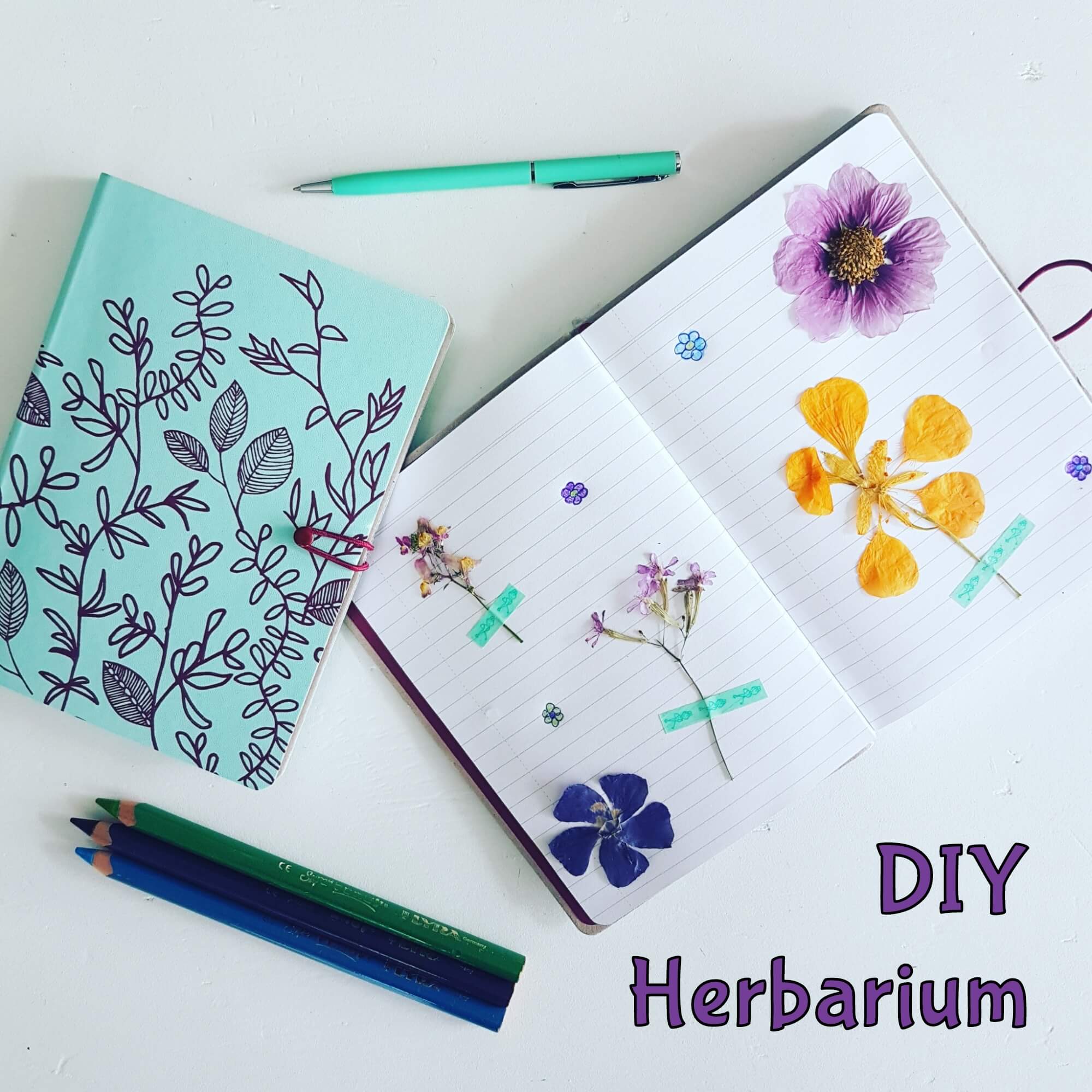 DIY: een herbarium maken met de kinderen DIY: een herbarium maken met de kinderen