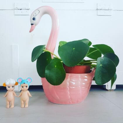 Verjaardagscadeau voor kids van 6, 7 of 8 jaar: leuke cadeau tips voor de kinderen - sonny angel