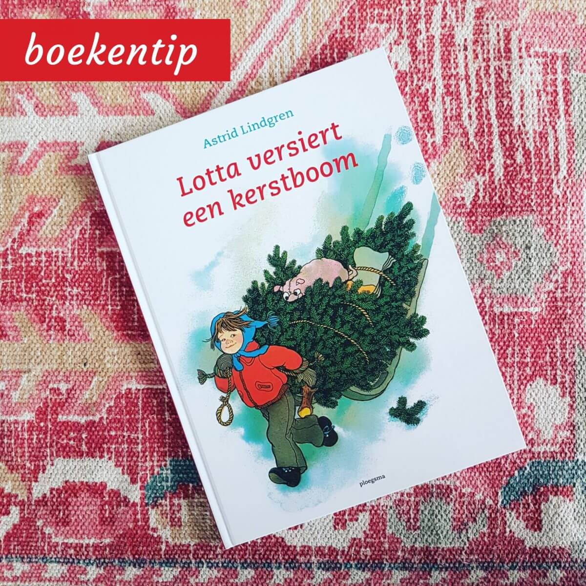 Boekentip voor kerst: Lotta versiert een kerstboom