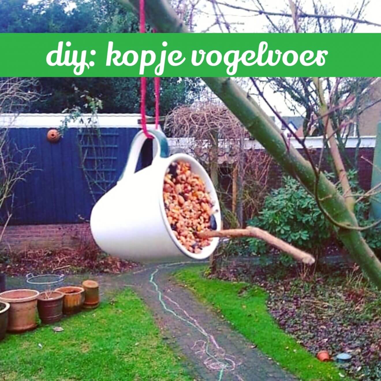 kopje vogelvoer maken