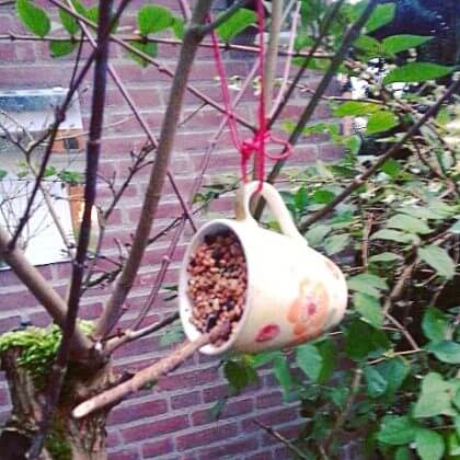 DIY: kopje vogelvoer maken - bird feeder cup 