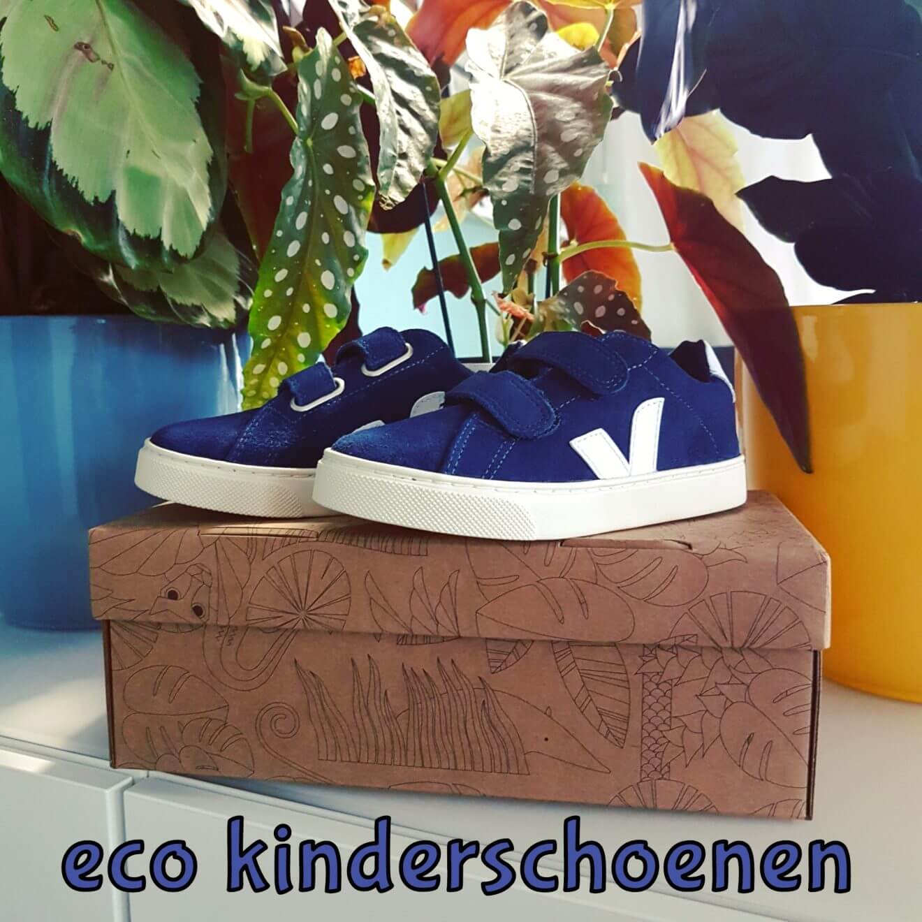 Veja: verantwoorde eco kinderschoenen