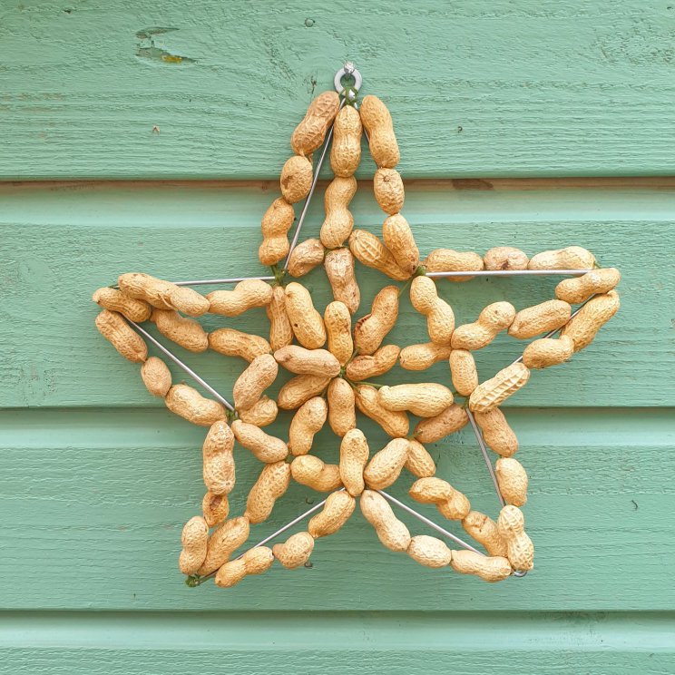 Kerst knutselen voor in de tuin: kerstster met pinda's in de dop, leuk alternatief voor rijgpinda's knutselen