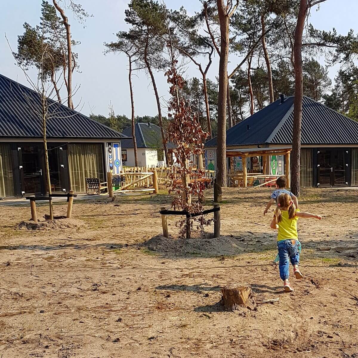 Slapen in Safari Resort Beekse Bergen en ontbijten met uitzicht op de leeuwen en giraffen