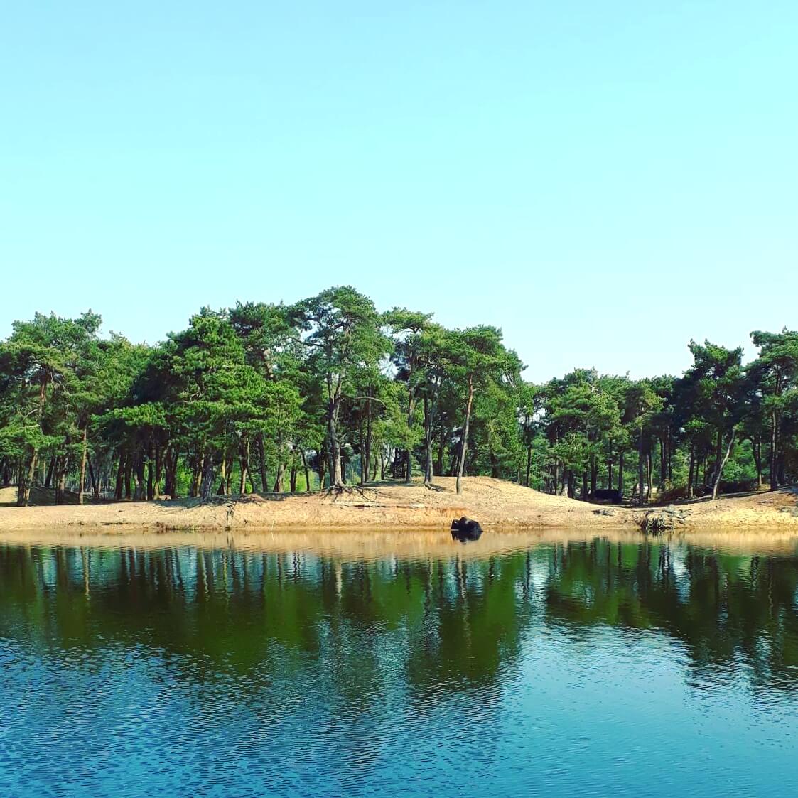 Safaripark Beekse Bergen en het Speelland: leuk met kinderen. Op zoek naar een leuk uitje in Brabant? Wij vonden Safaripark Beekse Bergen erg leuk. En het vlakbij gelegen Speelland Beekse Bergen is ook tof op een mooie dag. Daarom vind je hier een review 