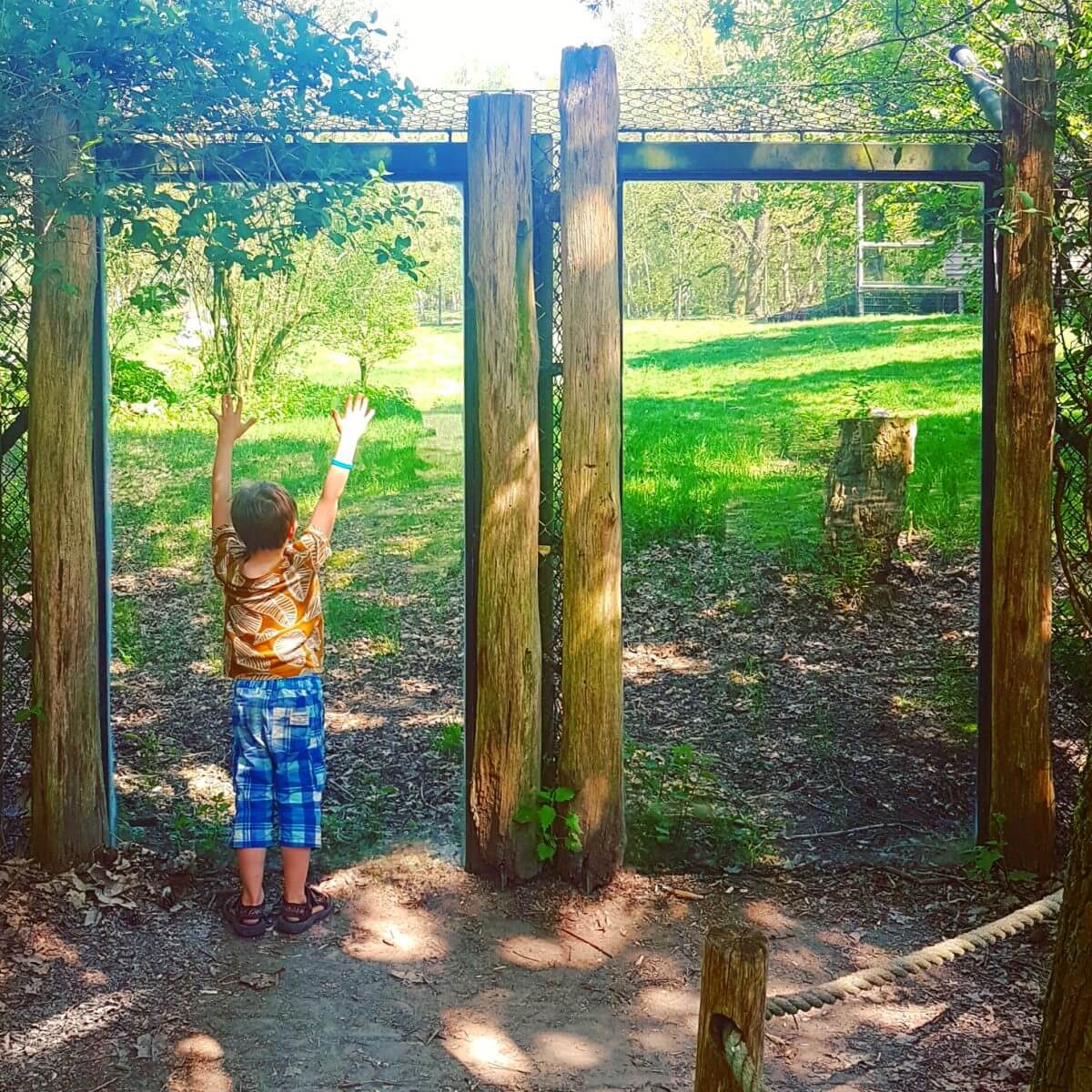 Safaripark Beekse Bergen en het Speelland: leuk met kinderen. Op zoek naar een leuk uitje in Brabant? Wij vonden Safaripark Beekse Bergen erg leuk. En het vlakbij gelegen Speelland Beekse Bergen is ook tof op een mooie dag. Daarom vind je hier een review 