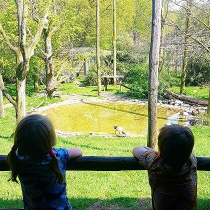 Kleuter verjaardag: cadeau ideeën kinderen van 4 jaar of 5 jaar, leuk voor 4-jarige en 5-jarige jongens en meisjes. Zoek je een origineel verjaardagscadeau dat geen speelgoed is? Of heeft deze kleuter alles al? Een uitje of een belevenis is ook heel leuk om cadeau te geven. 