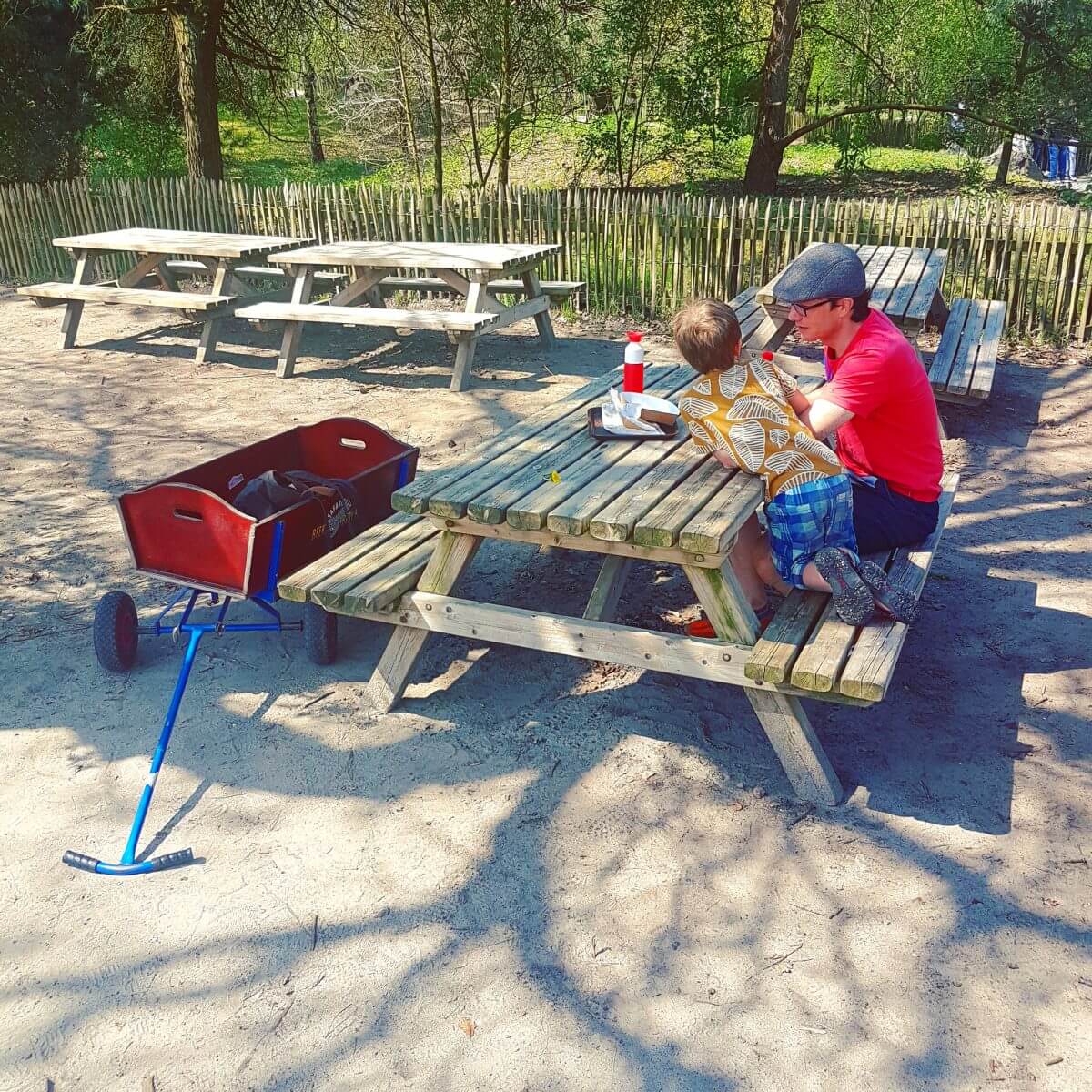 Safaripark Beekse Bergen en het Speelland: leuk met kinderen. Op zoek naar een leuk uitje in Brabant? Wij vonden Safaripark Beekse Bergen erg leuk. En het vlakbij gelegen Speelland Beekse Bergen is ook tof op een mooie dag. Daarom vind je hier een review 