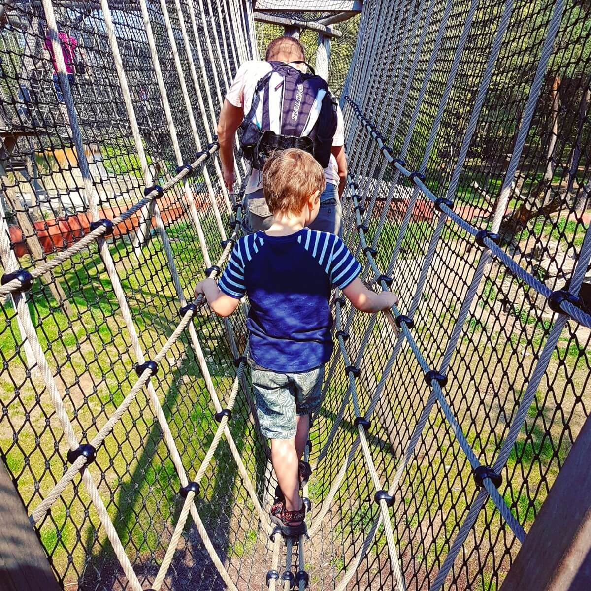 Safaripark Beekse Bergen en het Speelland: leuk met kinderen. Op zoek naar een leuk uitje in Brabant? Wij vonden Safaripark Beekse Bergen erg leuk. En het vlakbij gelegen Speelland Beekse Bergen is ook tof op een mooie dag. Daarom vind je hier een review 