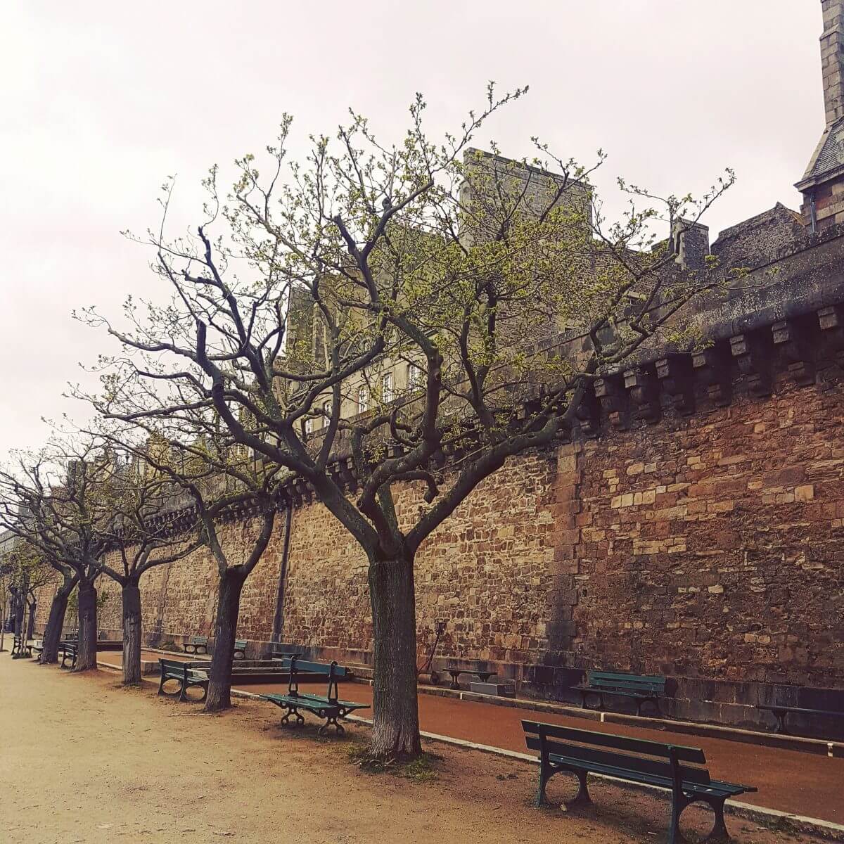 Noord Oost Bretagne met kids: de leukste tips in de buurt van Mont Saint Michel, Saint-Malo, Dinan en Rennes