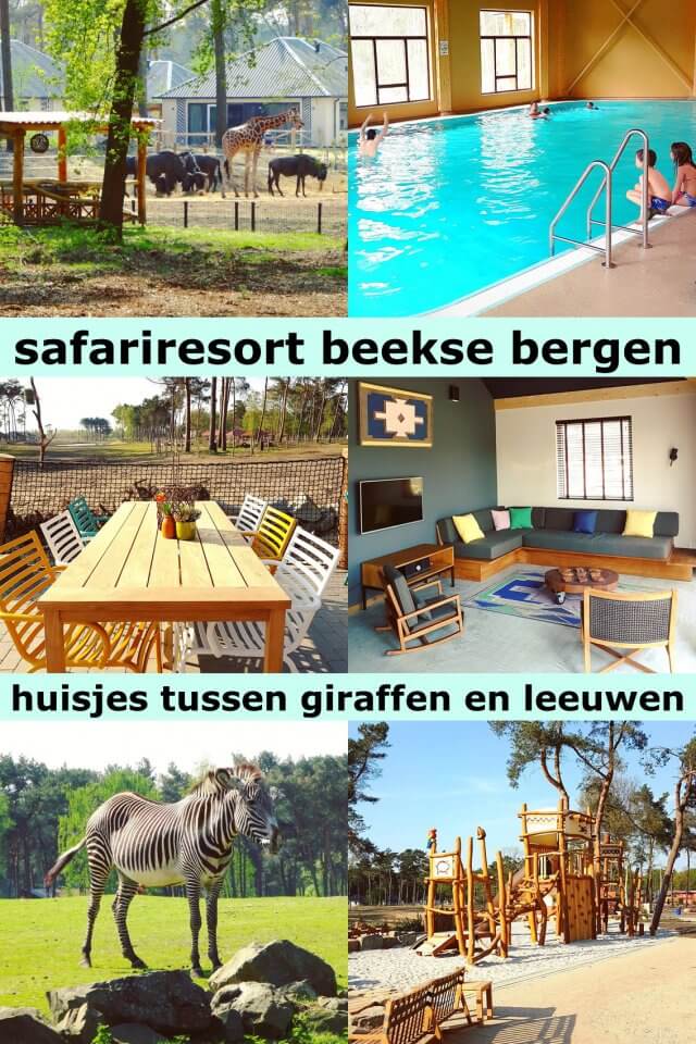 Slapen in Safari Resort Beekse Bergen en ontbijten met uitzicht op de leeuwen en giraffen. Stel je voor: slapen in een Safaripark, in een lodge met uitzicht op leeuwen of giraffen. Daarvoor hoef je niet naar Afrika, want dat kan sinds kort bij de Beekse Bergen, gewoon in Brabant. Wij mochten het Safari Resort uitproberen en we waren erg onder de indruk. 