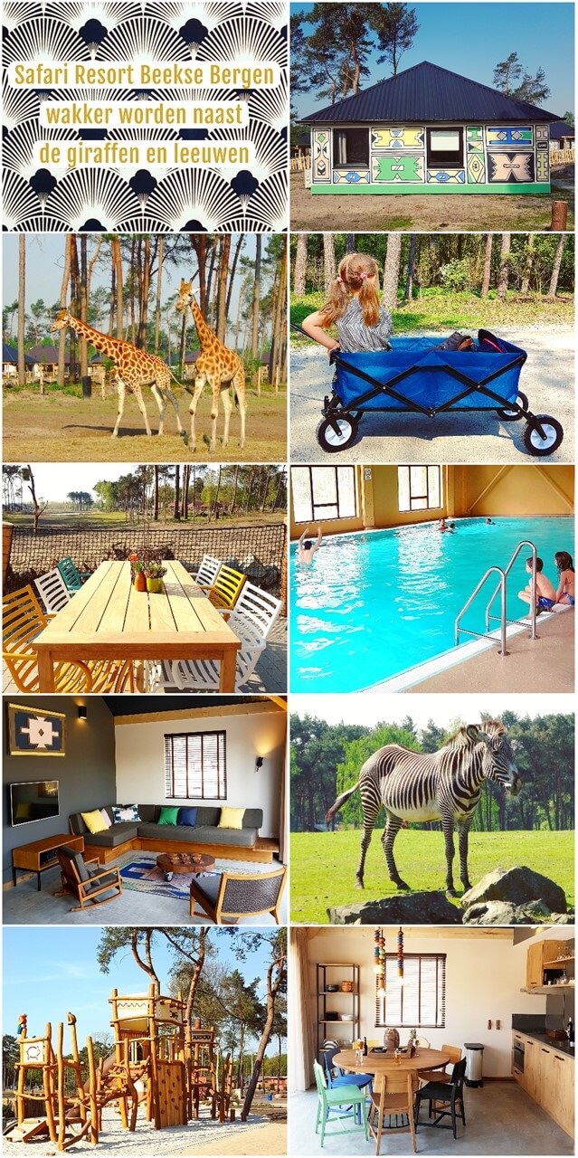 Slapen in Safari Resort Beekse Bergen en ontbijten met uitzicht op de leeuwen en giraffen