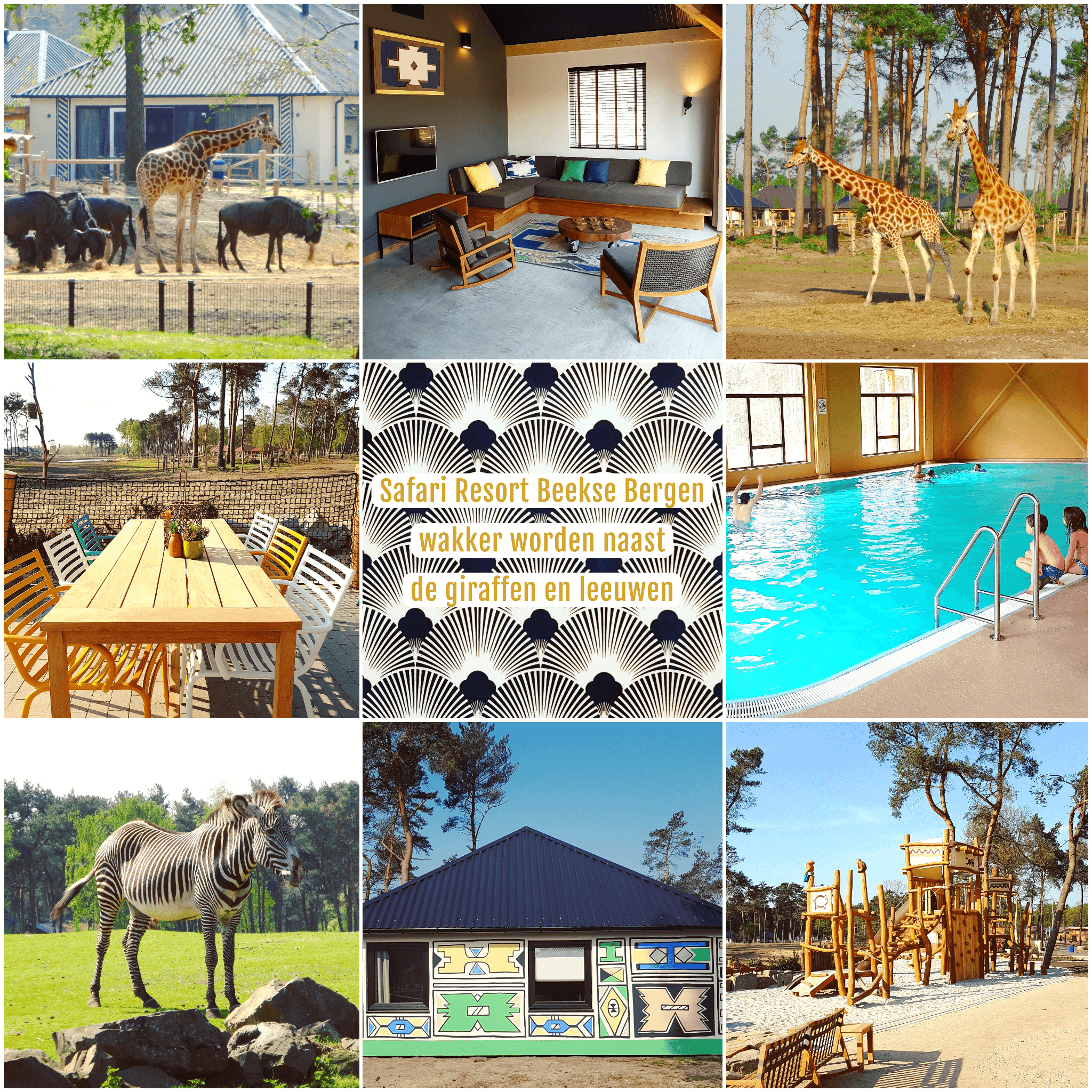 review beekse bergen safari resort