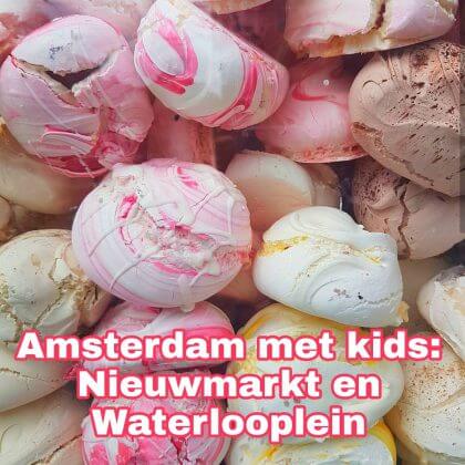 Nieuwmarkt en Waterlooplein met kinderen: musea, speeltuinen, parken, zwemplekken, actieve uitjes, kinderboerderijen, winkels, restaurants en nog veel meer