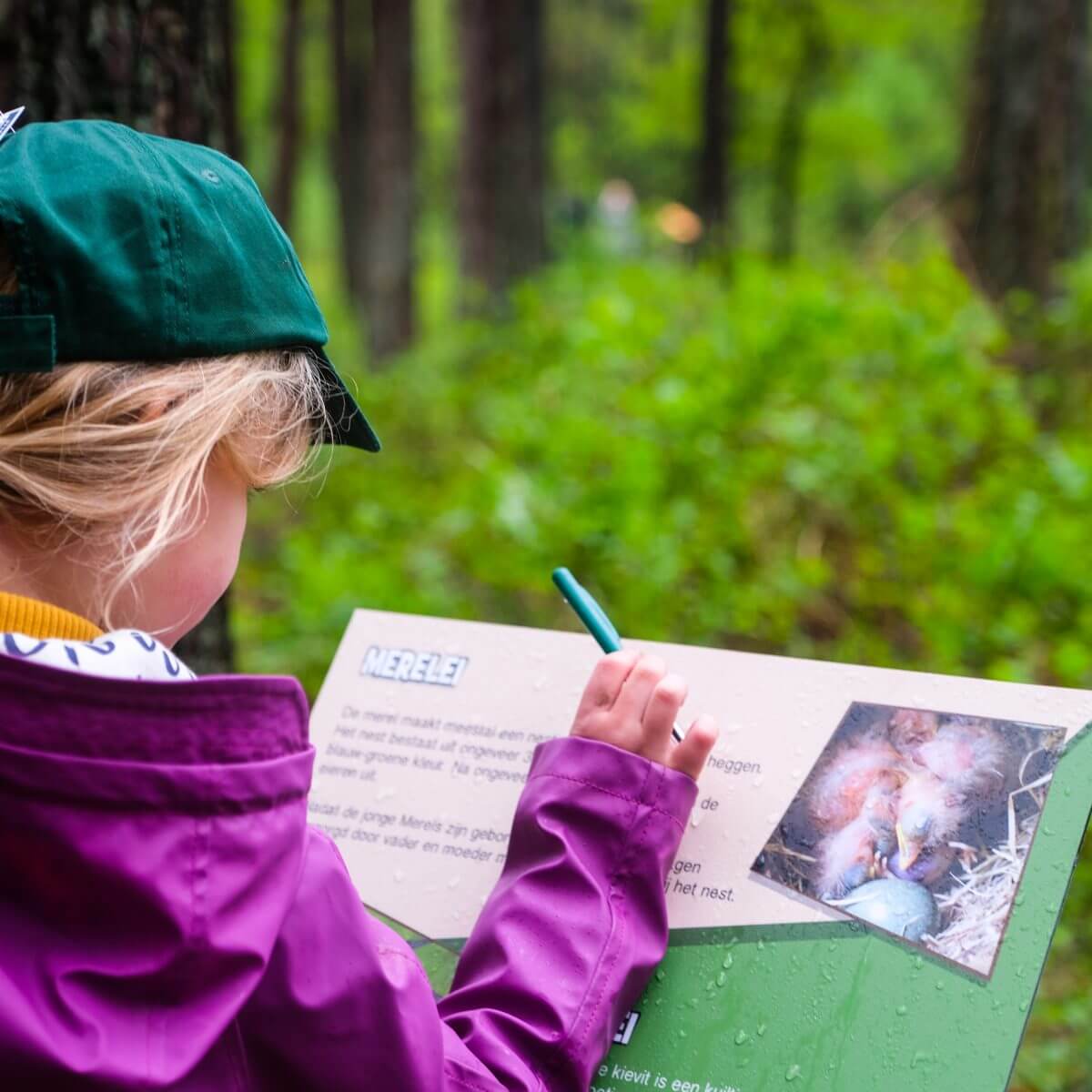 Op avontuur in de natuur met Cas de Ranger in de Julianatoren