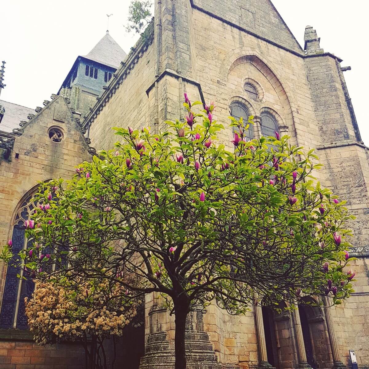 Noord Oost Bretagne met kids: de leukste tips in de buurt van Mont Saint Michel, Saint-Malo, Dinan en Rennes