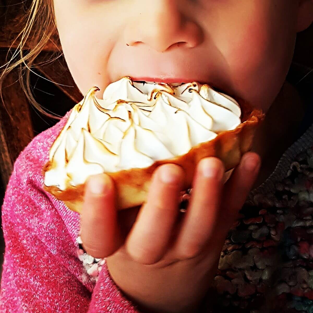 Noord Oost Bretagne met kids: de leukste tips in de buurt van Mont Saint Michel, Saint-Malo, Dinan en Rennes