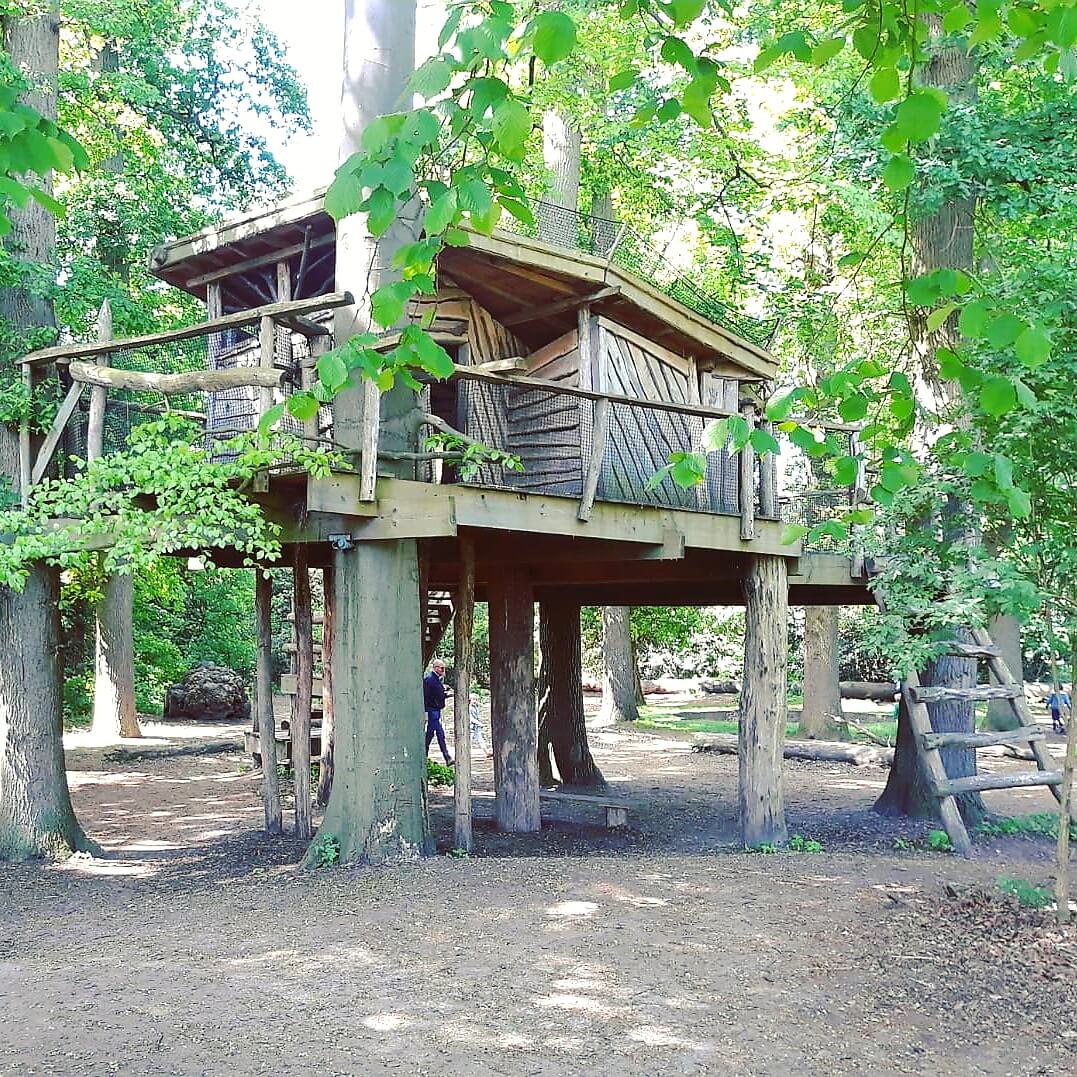 Uitje met kids: de Oerrrr speelnatuur van Natuurmonumenten met terras