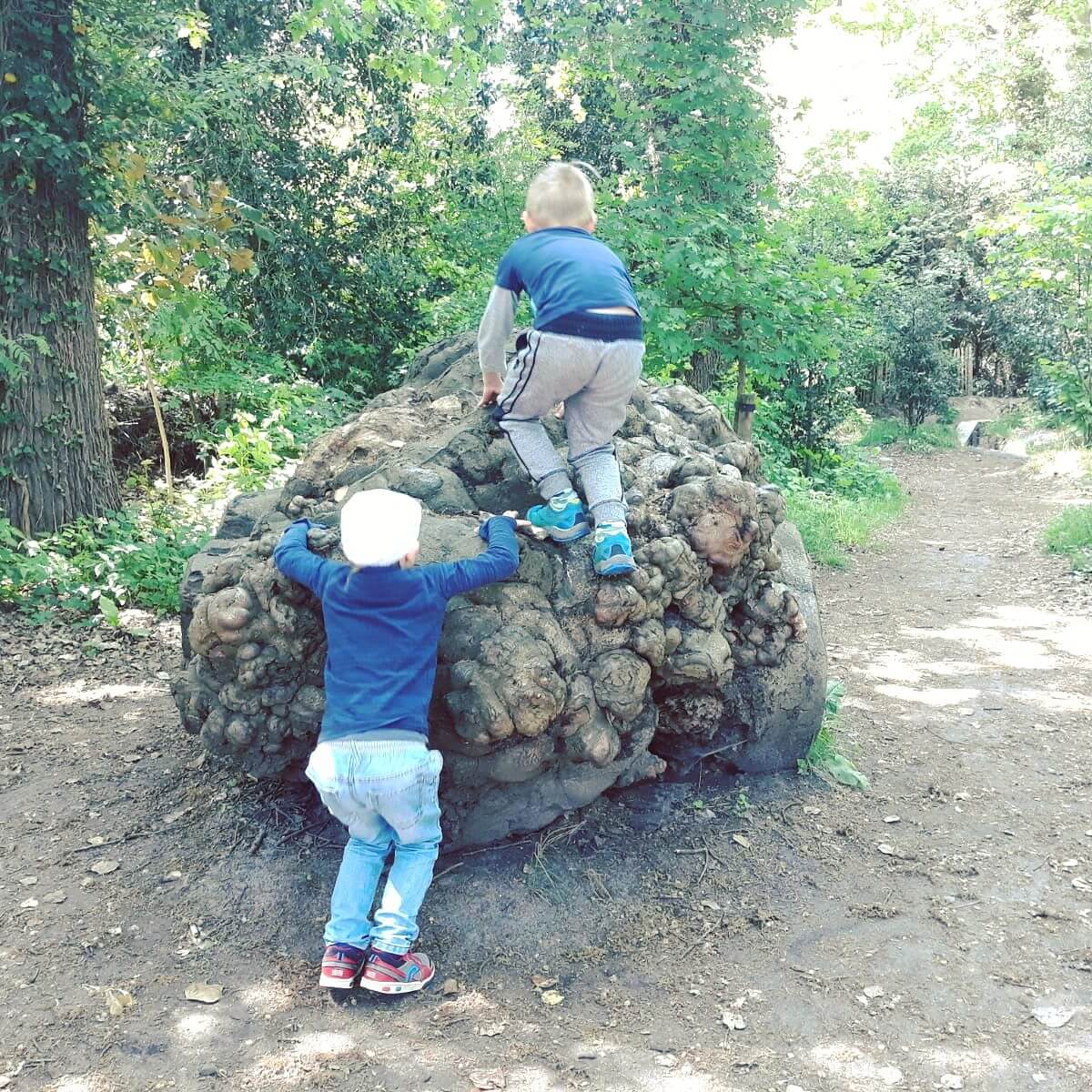 Uitje met kids: de Oerrrr speelnatuur van Natuurmonumenten met terras