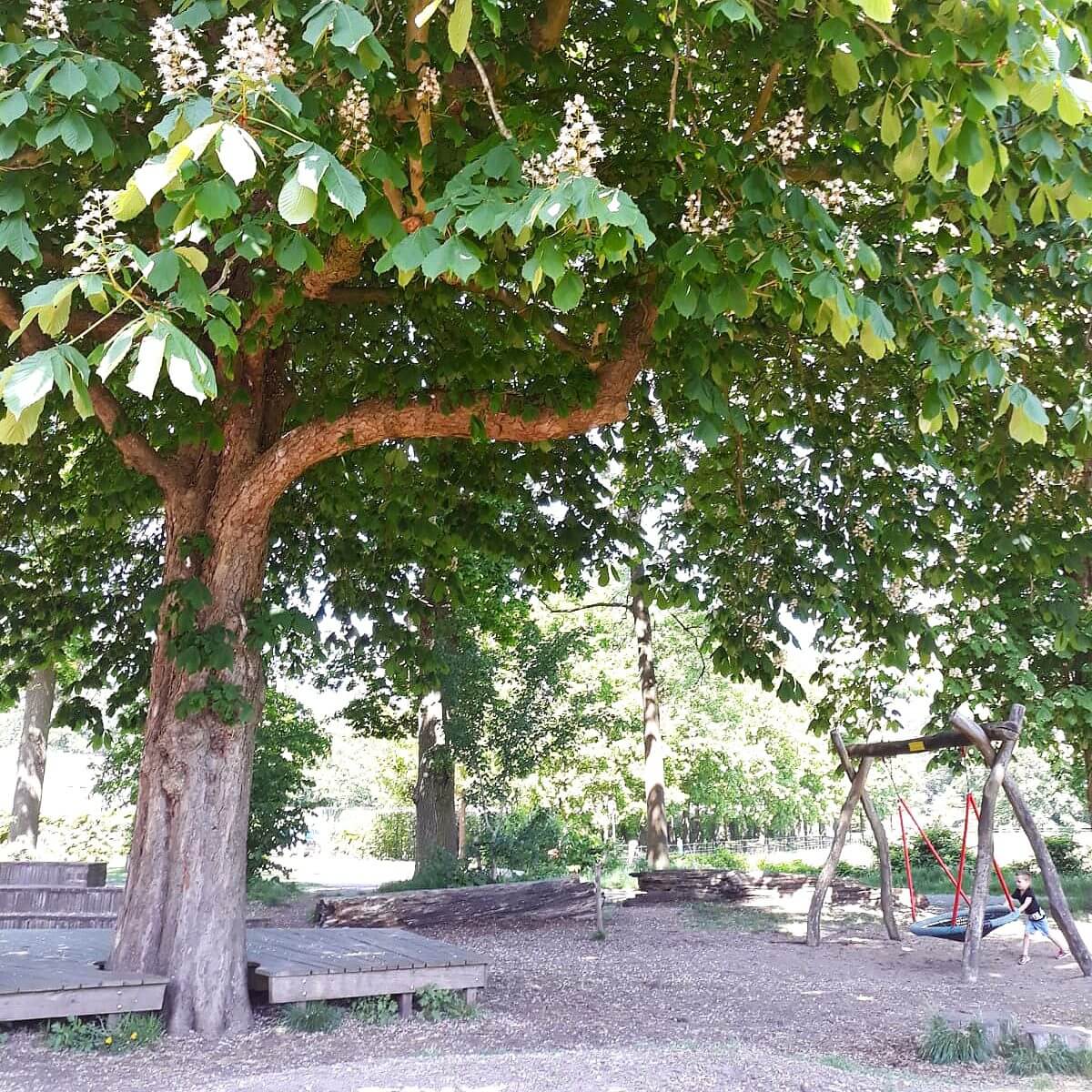 Uitje met kids: de Oerrrr speelnatuur van Natuurmonumenten met terras