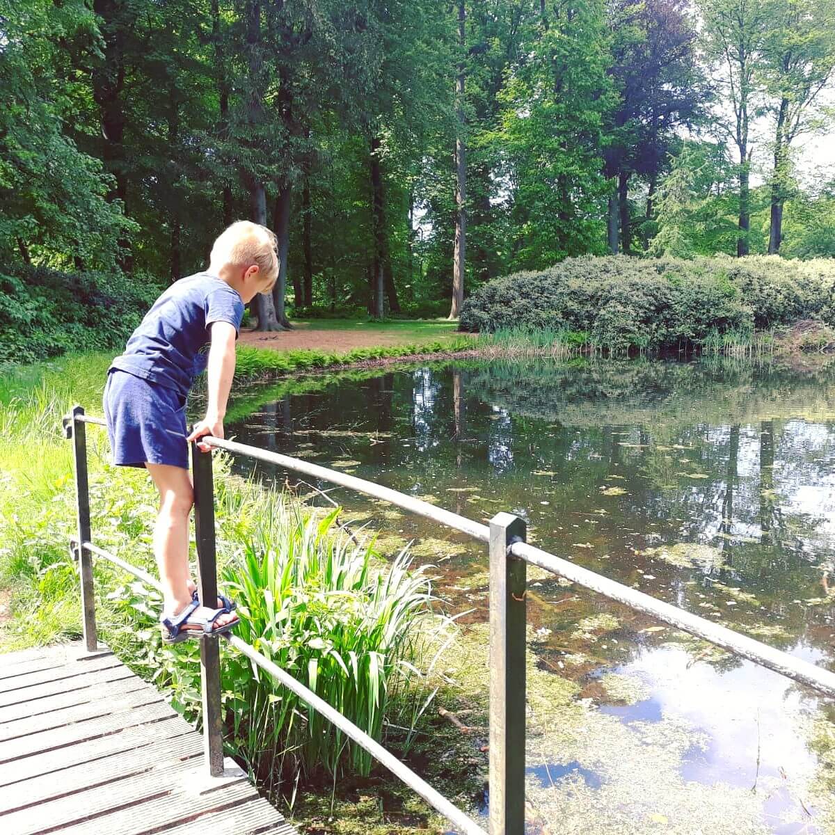 Uitje met kids: de Oerrrr speelnatuur van Natuurmonumenten met terras