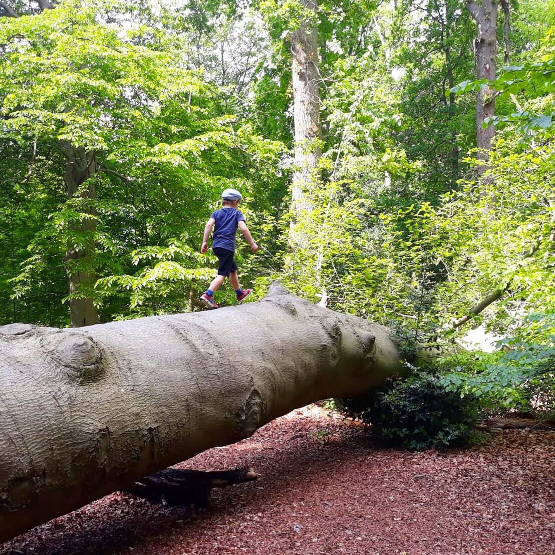 Uitje met kids: de Oerrrr speelnatuur van Natuurmonumenten met terras