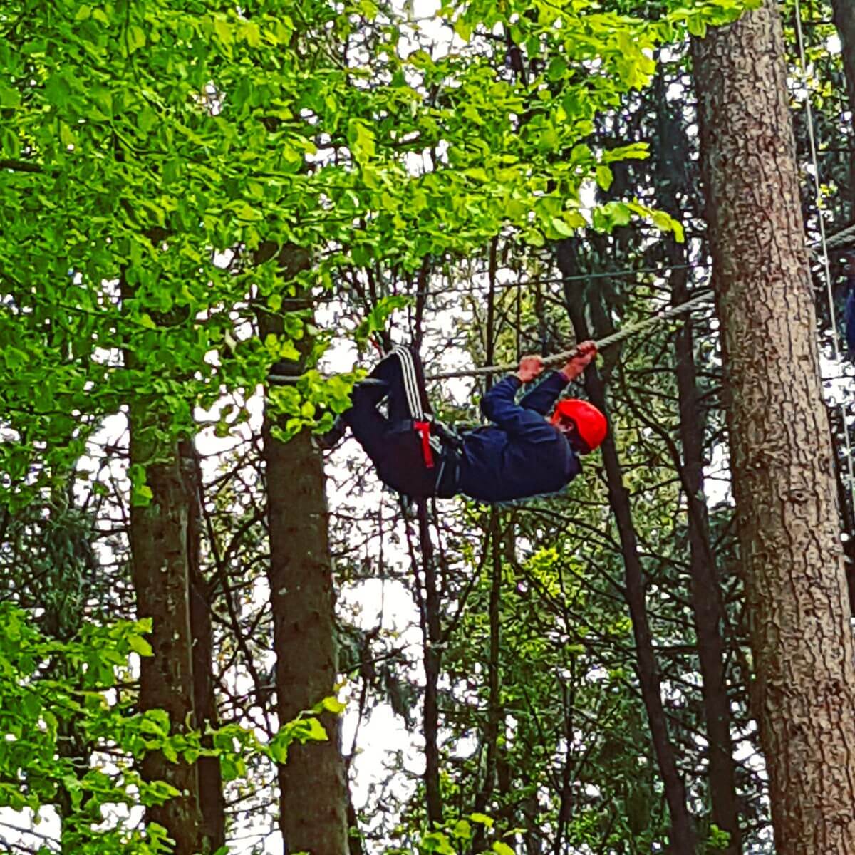 Domaine des Ormes: luxe stacaravan op landgoed camping in Bretagne, in Dol de Bretagne. Er zijn een klimmuur en een klimparcours door het bos, met verschillende niveaus, voor tieners maar ook voor jonge kinderen.