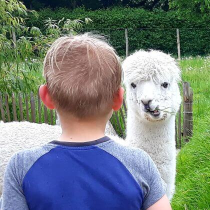 Corona proof buiten uitjes voor kinderen in heel Nederland. Dieren kijken op alle werelddelen in Almere Jungle