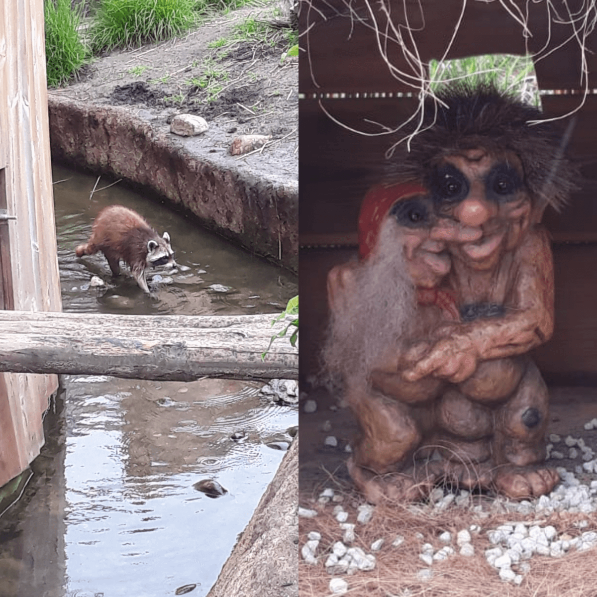 Uitje met kids: dieren kijken op alle werelddelen in Almere Jungle