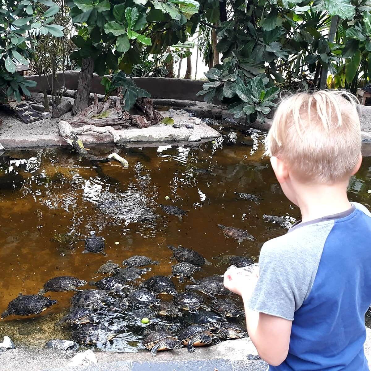 Uitje met kids: dieren kijken op alle werelddelen in Almere Jungle