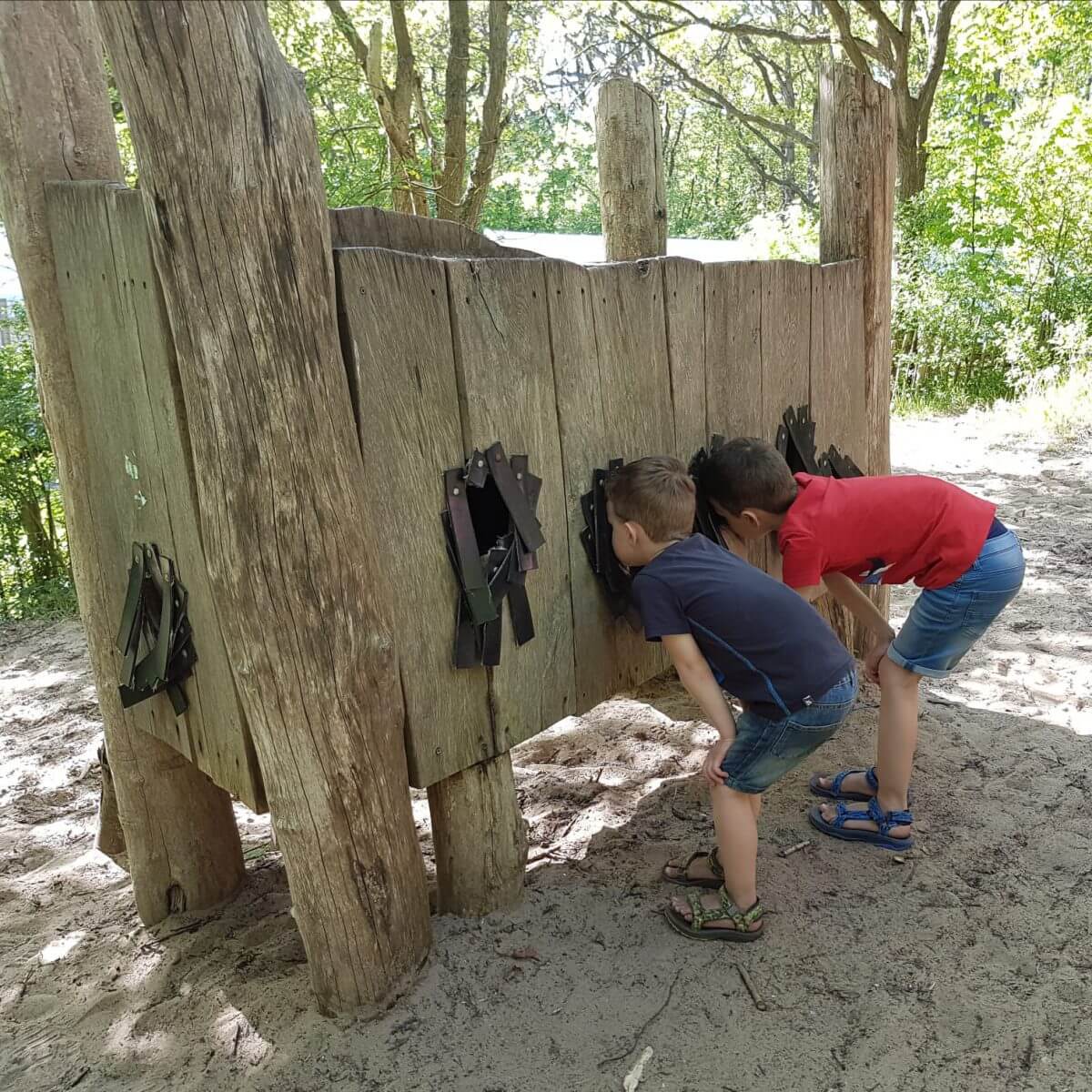 Avontuur op de camping: Geversduin in het Noordhollands duinreservaat 