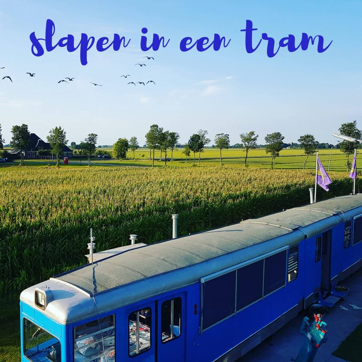 Slapen in een antieke tram... of een vliegtuig, trein of UFO