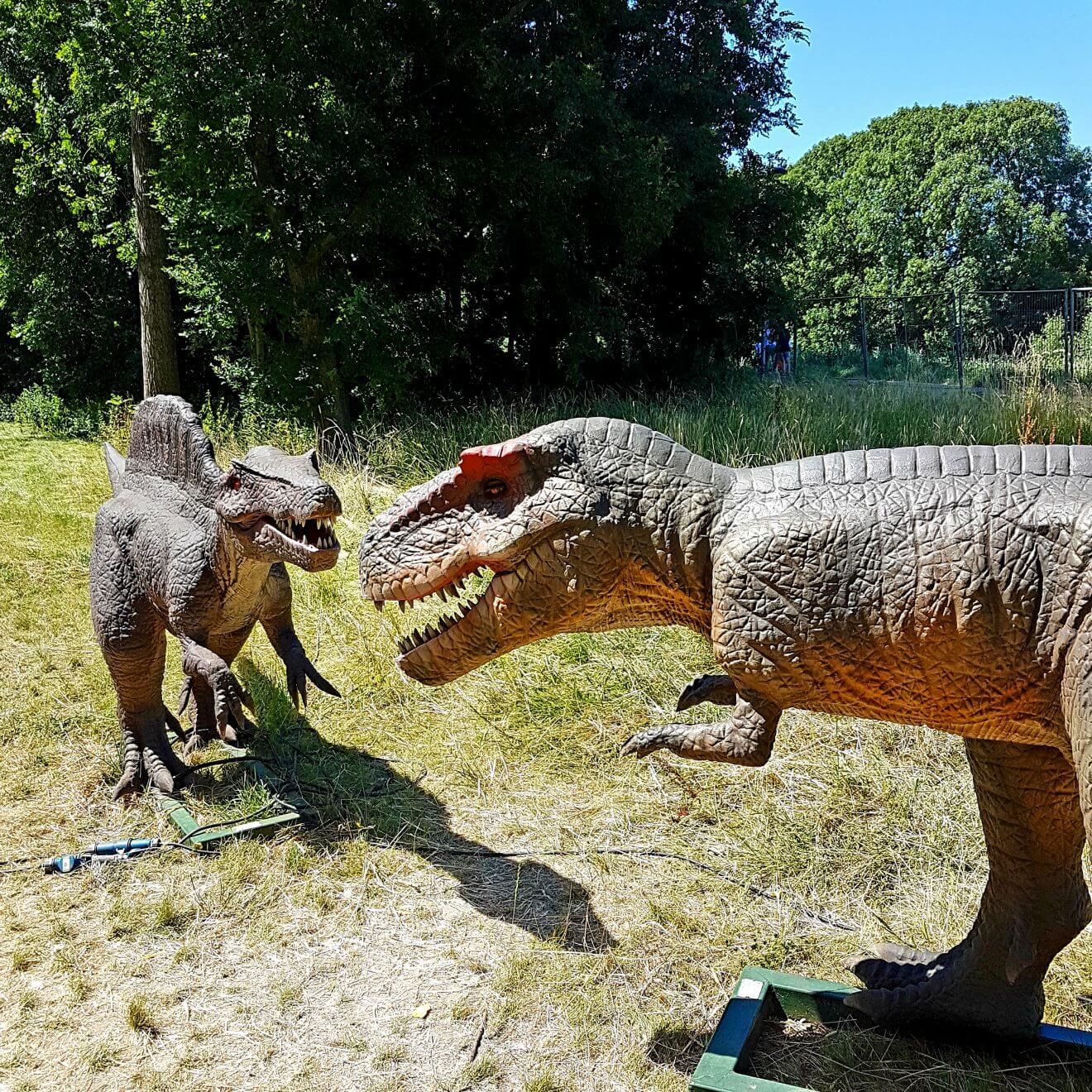 Uitje met kids: dino's kijken bij Jurassic Kingdom en daarna naar de speeltuin