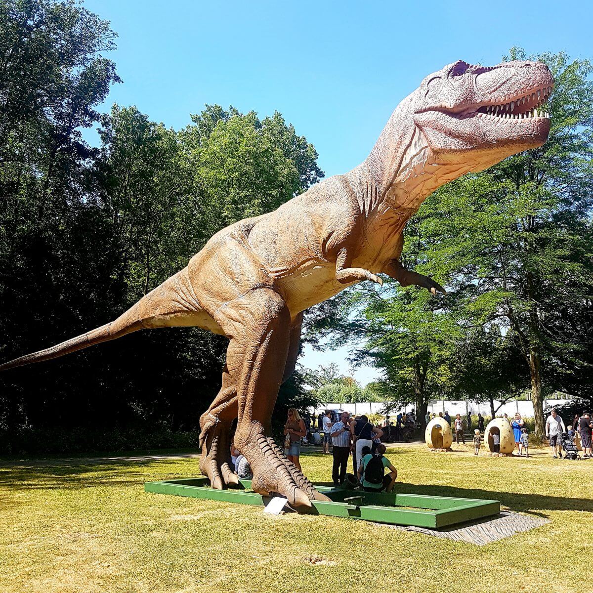 Uitje met kids: dino's kijken bij Jurassic Kingdom en daarna naar de speeltuin