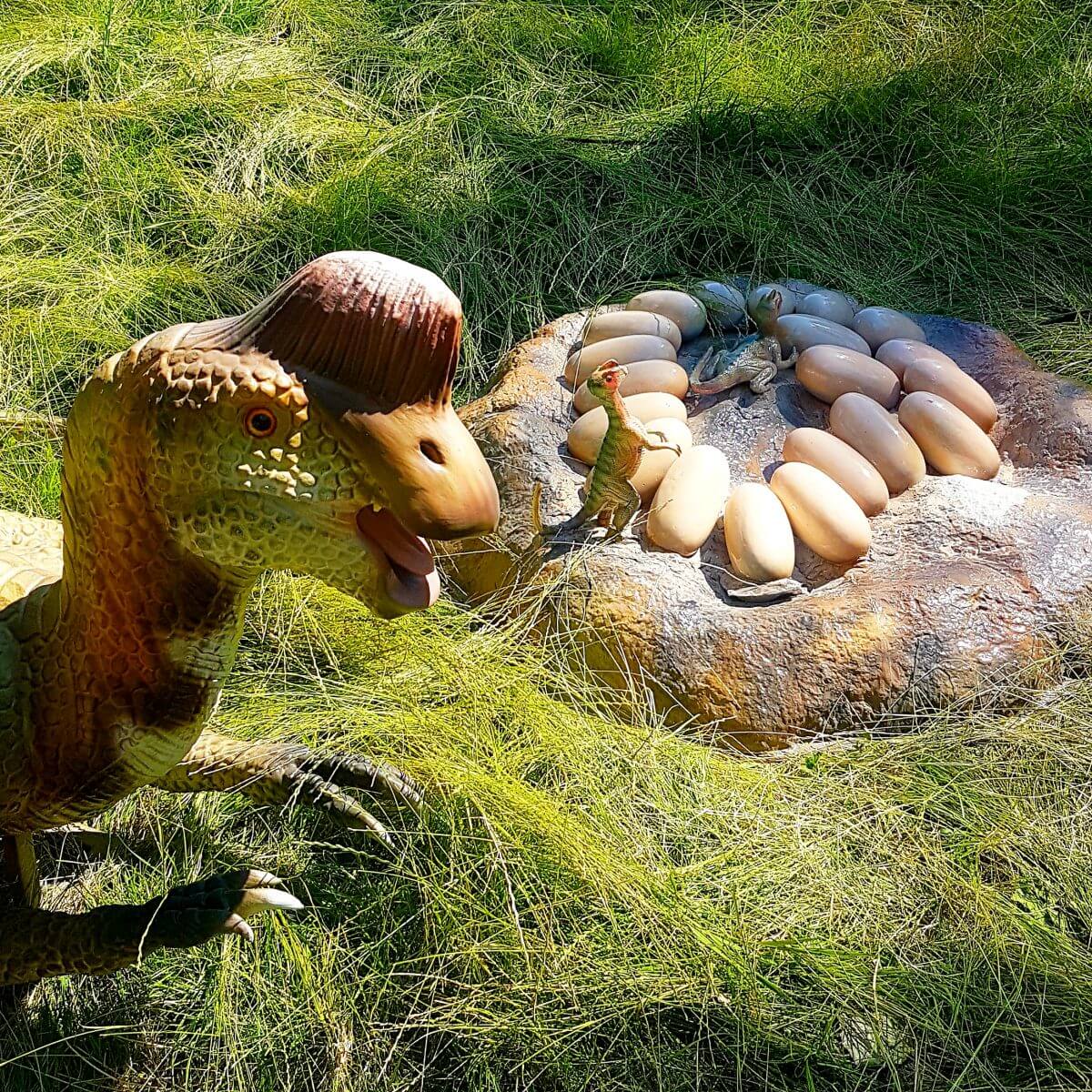 Uitje met kids: dino's kijken bij Jurassic Kingdom en daarna naar de speeltuin