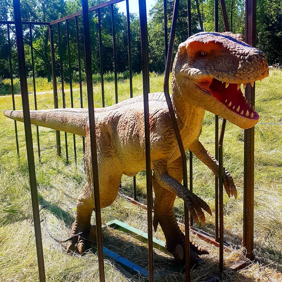 Uitje met kids: dino's kijken bij Jurassic Kingdom en daarna naar de speeltuin