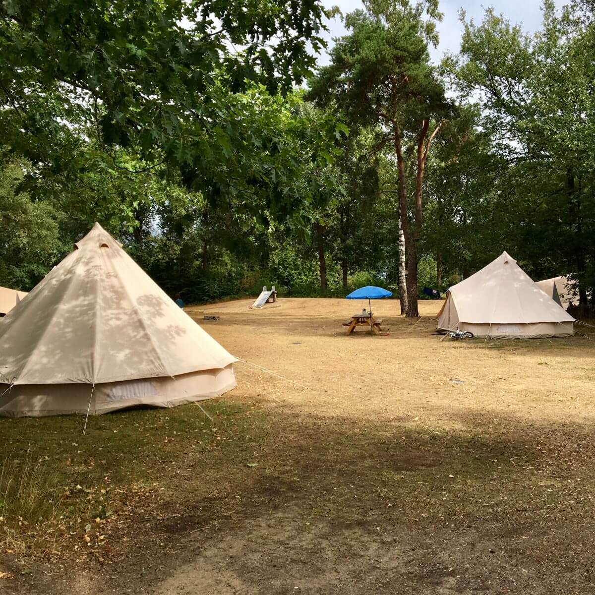 Campingtip: camping Lolotte, tussen Neede en Diepenheim in de Achterhoek in Gelderland, idyllische natuurcamping voor kinderen met zwembad vlakbij Lochem, Zutphen en Enschede #leukmetkids #kamperen