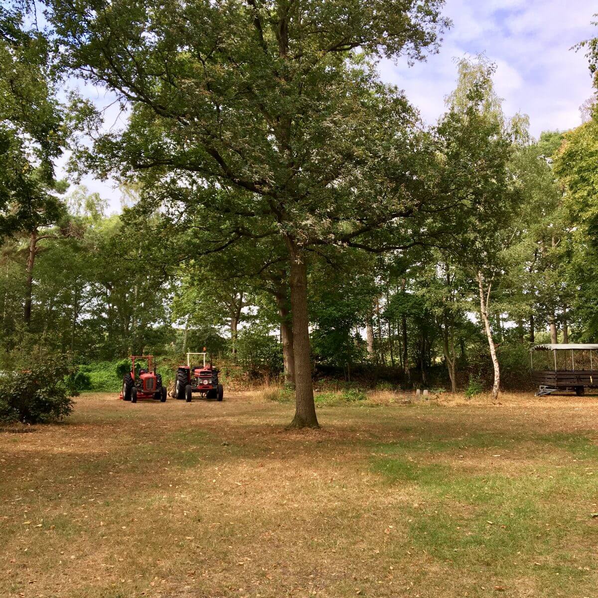 Campingtip: camping Lolotte, tussen Neede en Diepenheim in de Achterhoek in Gelderland, idyllische natuurcamping voor kinderen met zwembad vlakbij Lochem, Zutphen en Enschede #leukmetkids #kamperen