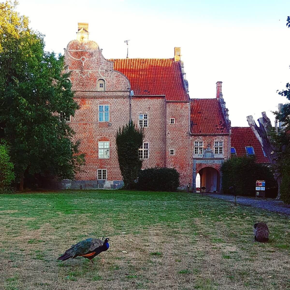 Vakantie met kids: sprookjesachtig Funen in Denemarken - de oude stad Bogense met strand en haven - Harridslevgaard Slot