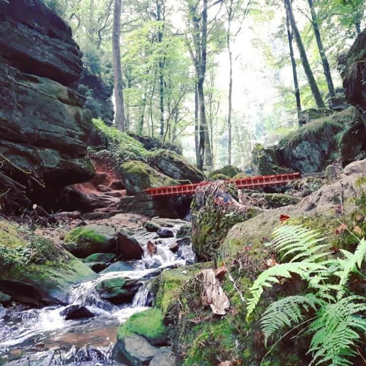 Kamperen met kids in de natuur van Luxemburg - fijne camping voor outdoor liefhebbers met kinderen #leukmetkids