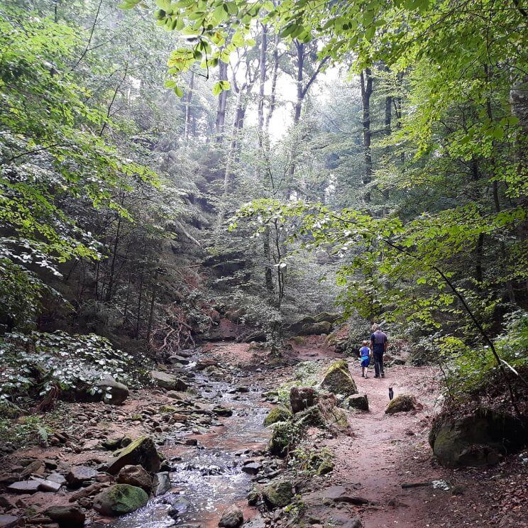 Kamperen met kids in de natuur van Luxemburg - fijne camping voor outdoor liefhebbers met kinderen #leukmetkids