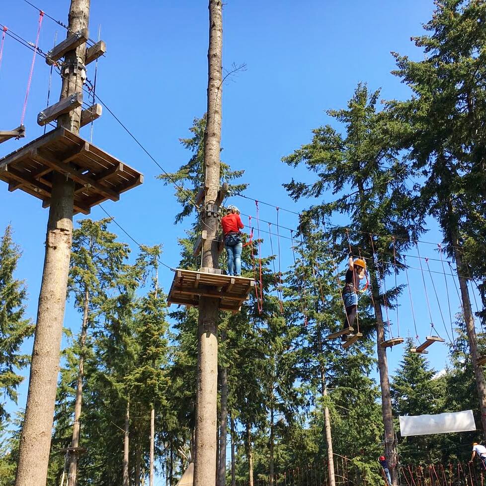 Landal Mont Royal: spelen, zwemmen en wijnproeven met een panoramisch uitzicht klimbos Adventure Forest Traben Trarbach