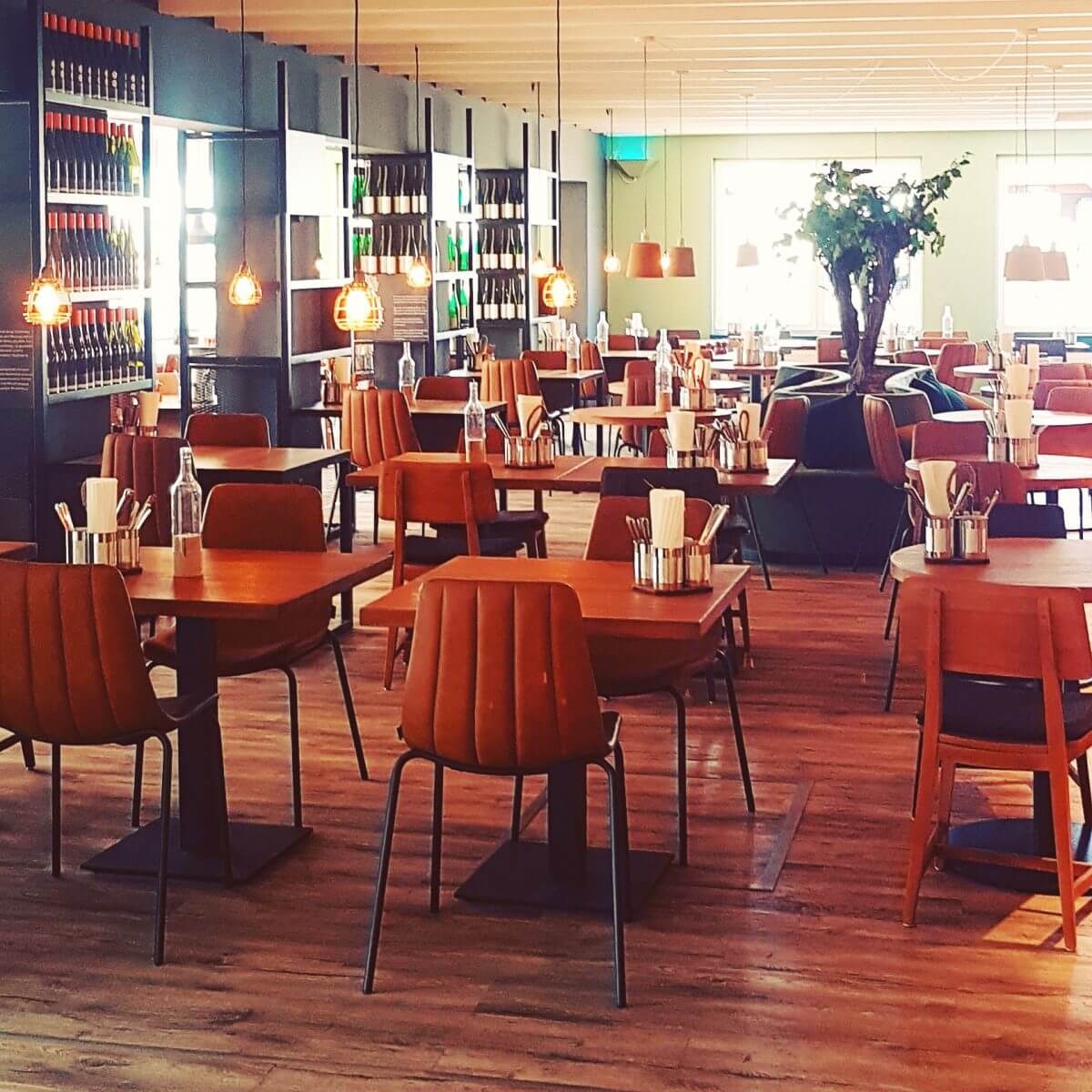 Landal Mont Royal: spelen, zwemmen en wijnproeven met een panoramisch uitzicht - restaurant Woods