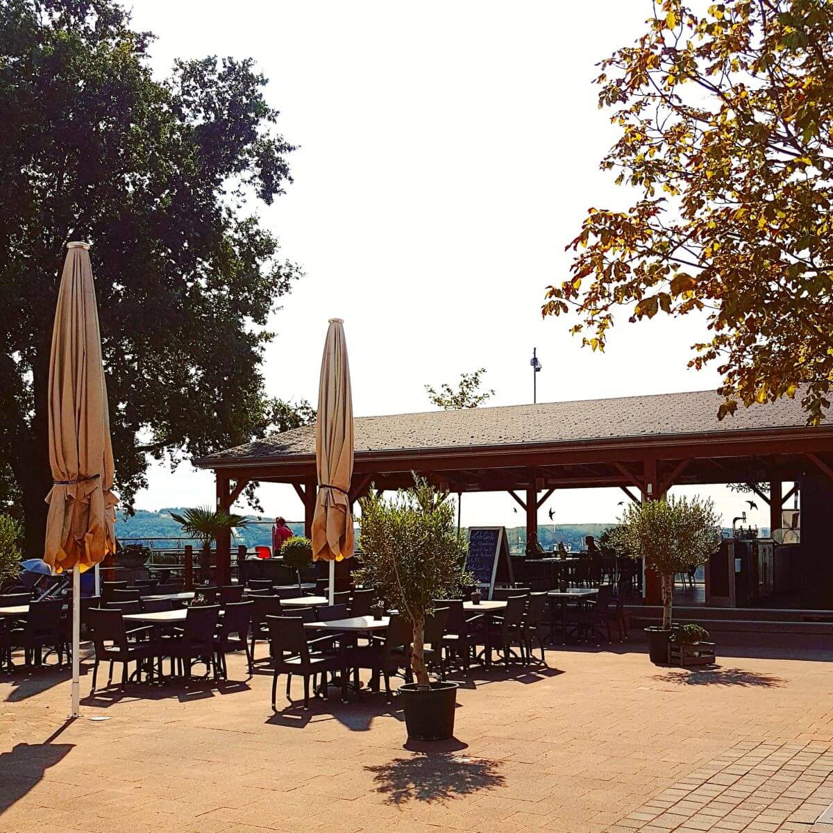 Landal Mont Royal: spelen, zwemmen en wijnproeven met een panoramisch uitzicht - panorama terras restaurant Woods