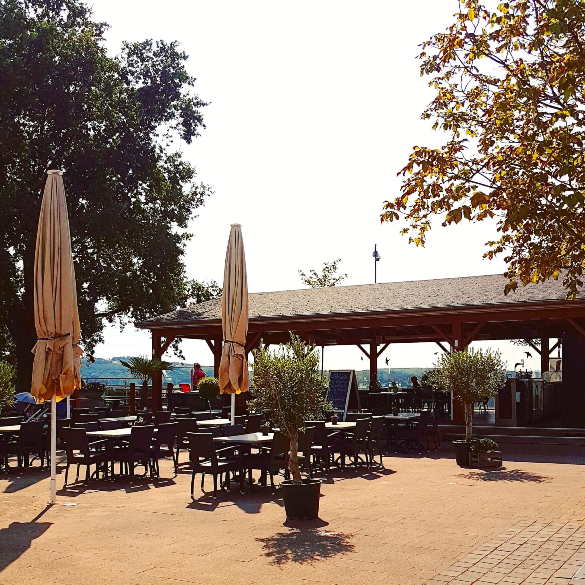 Landal Mont Royal: spelen, zwemmen en wijnproeven met een panoramisch uitzicht - panorama terras restaurant Woods 